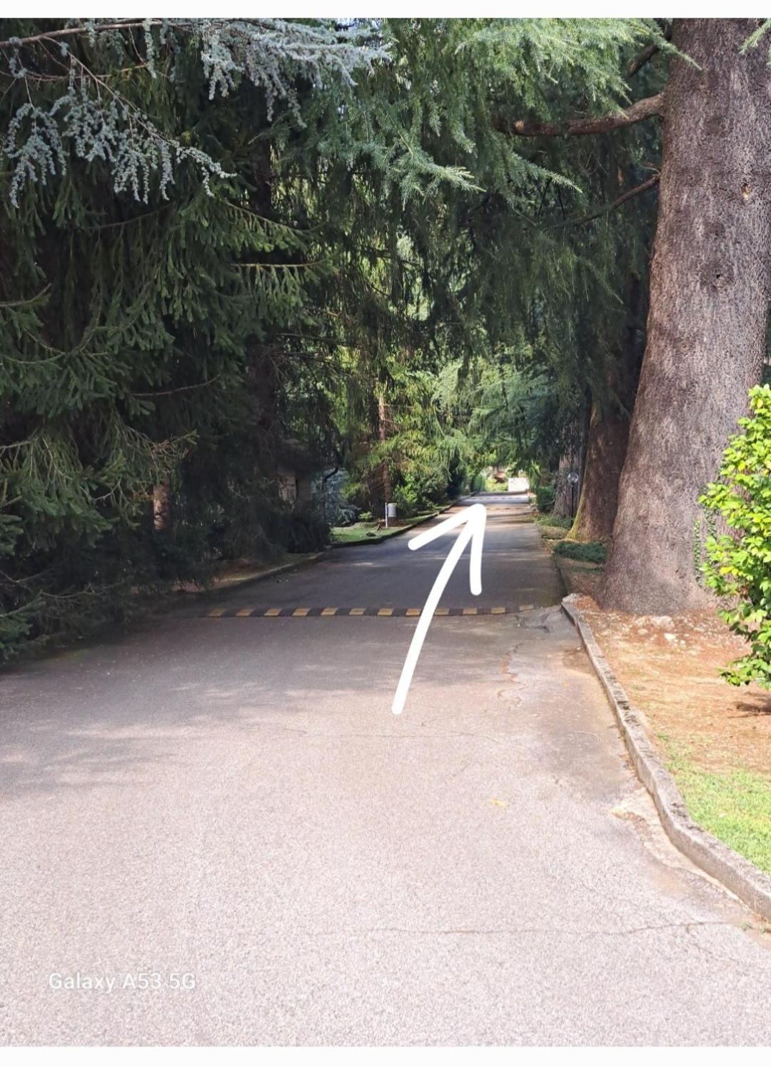 Ina Villa Lavena Ponte Tresa Dış mekan fotoğraf